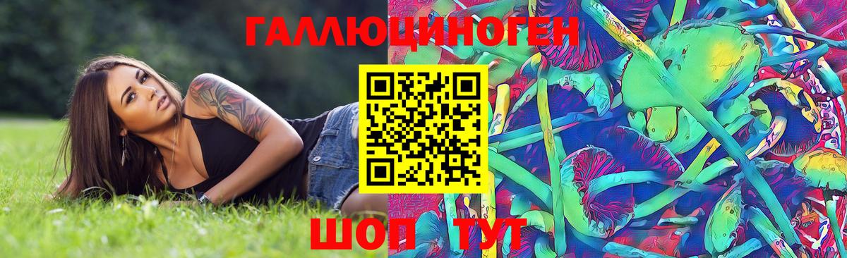 Владимир  Галлюциногенные грибы Psilocybe  Вход с VPN 