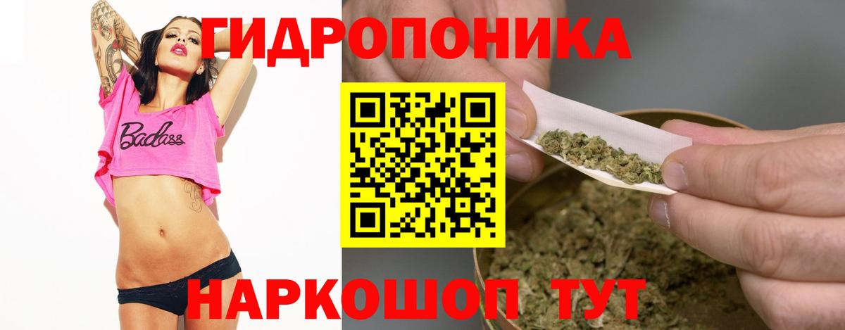 МАРИХУАНА OG Kush  Каннабис план  Владимир  Конопля сатива  Вход с VPN 